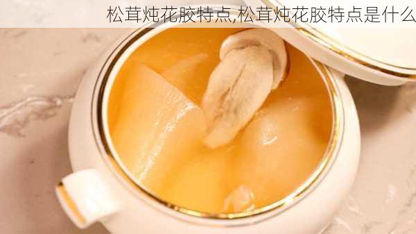 松茸炖花胶特点,松茸炖花胶特点是什么